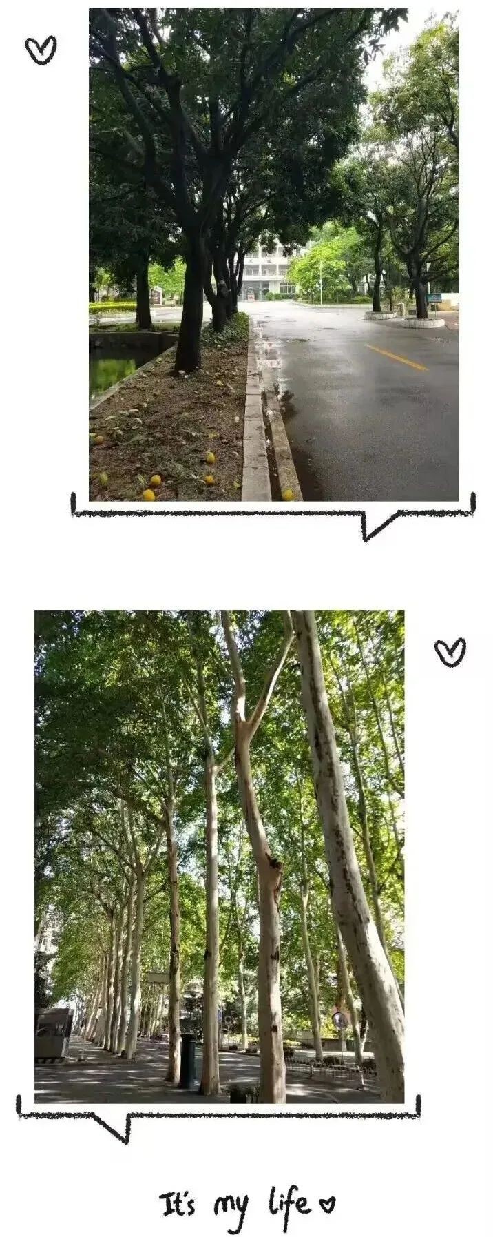 问鼎娱乐