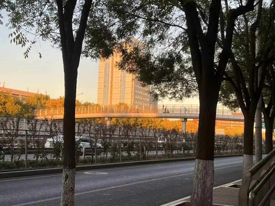 问鼎娱乐