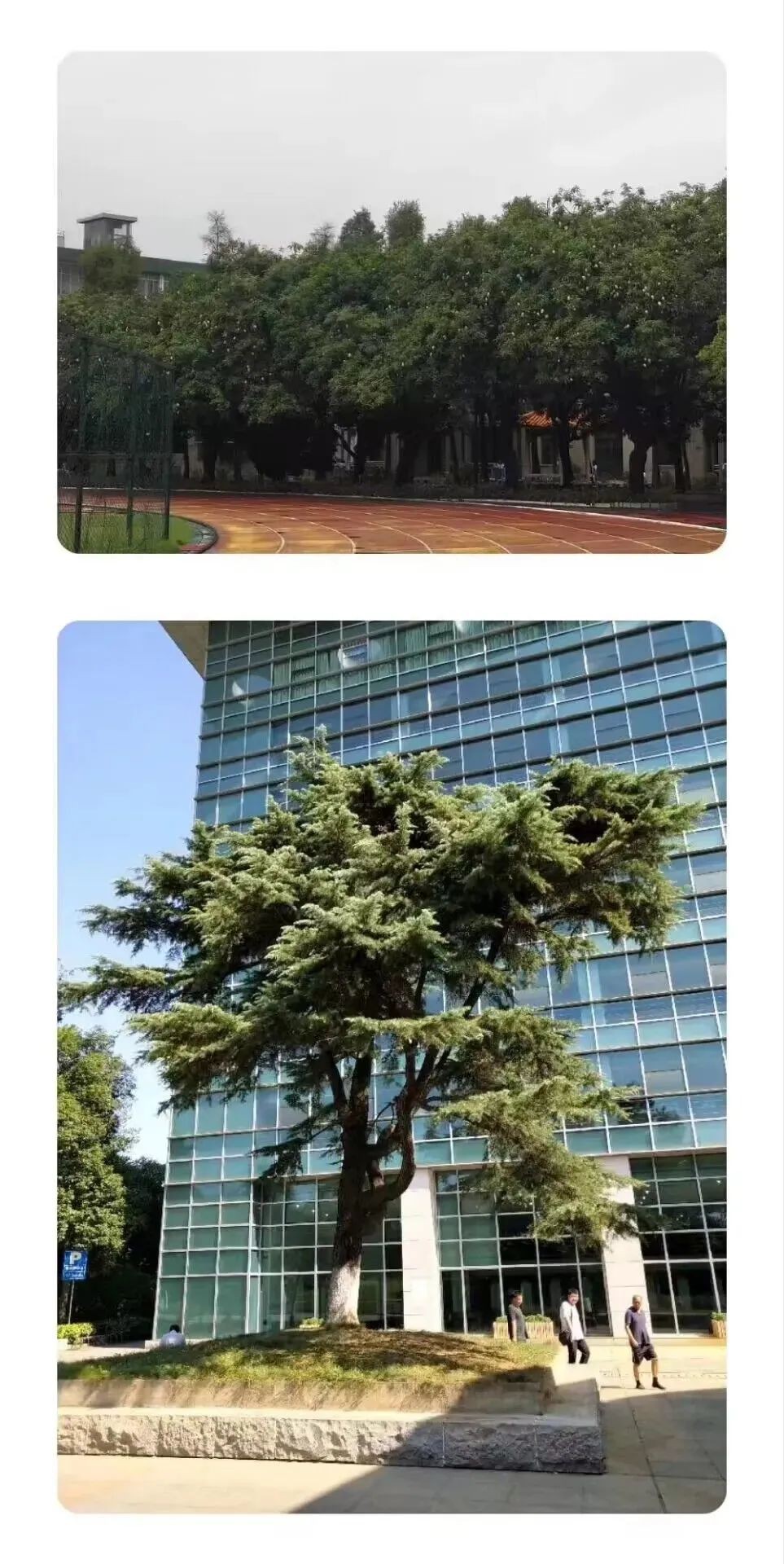 问鼎娱乐