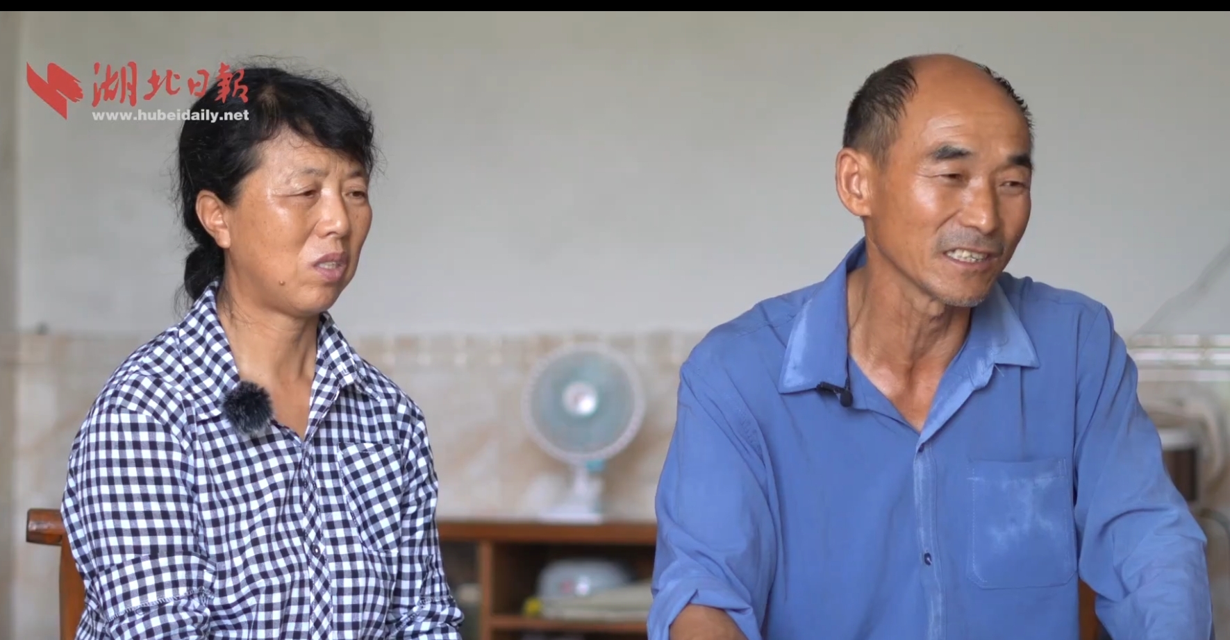 问鼎娱乐