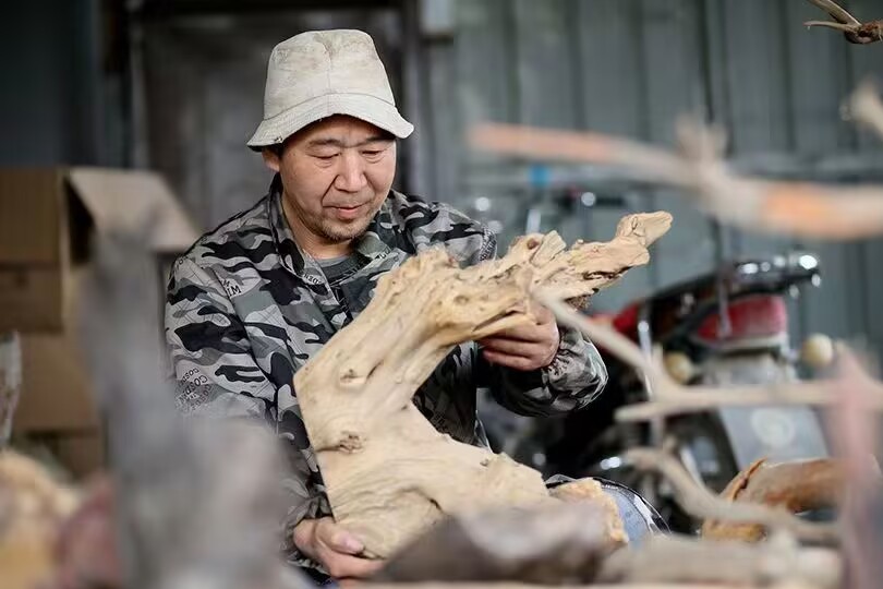 问鼎娱乐