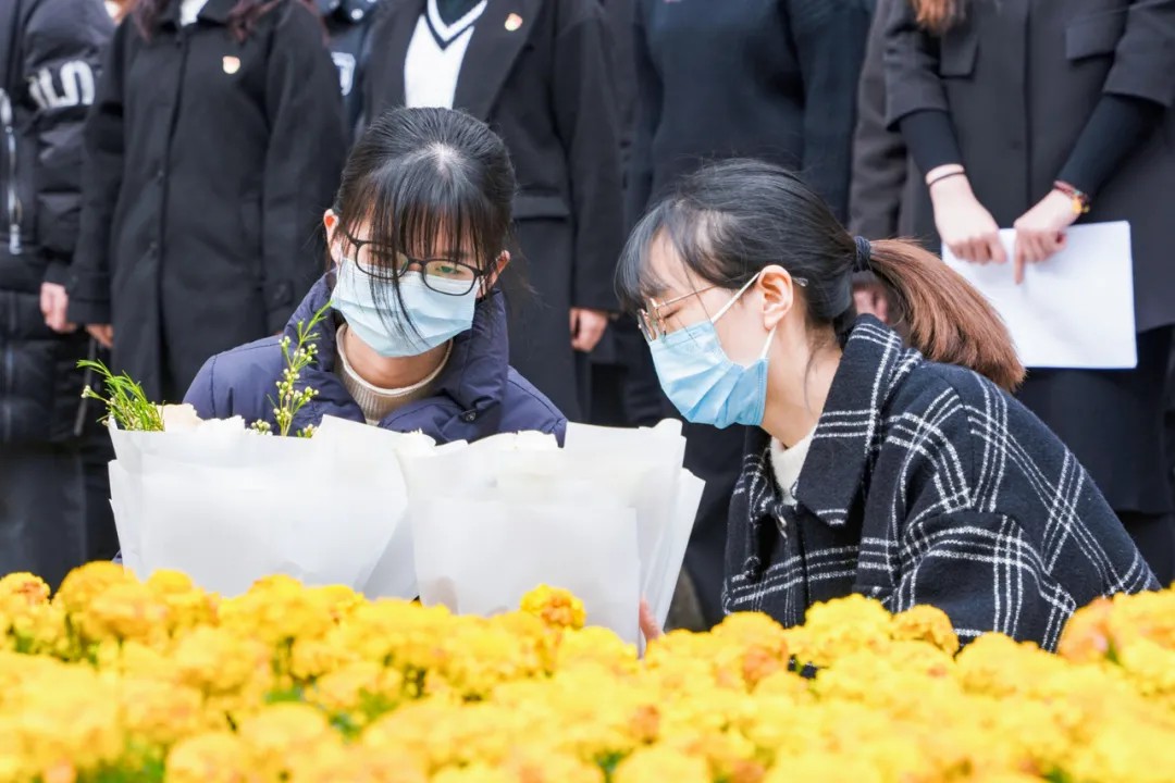 问鼎娱乐