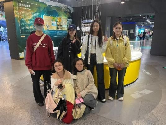 问鼎娱乐