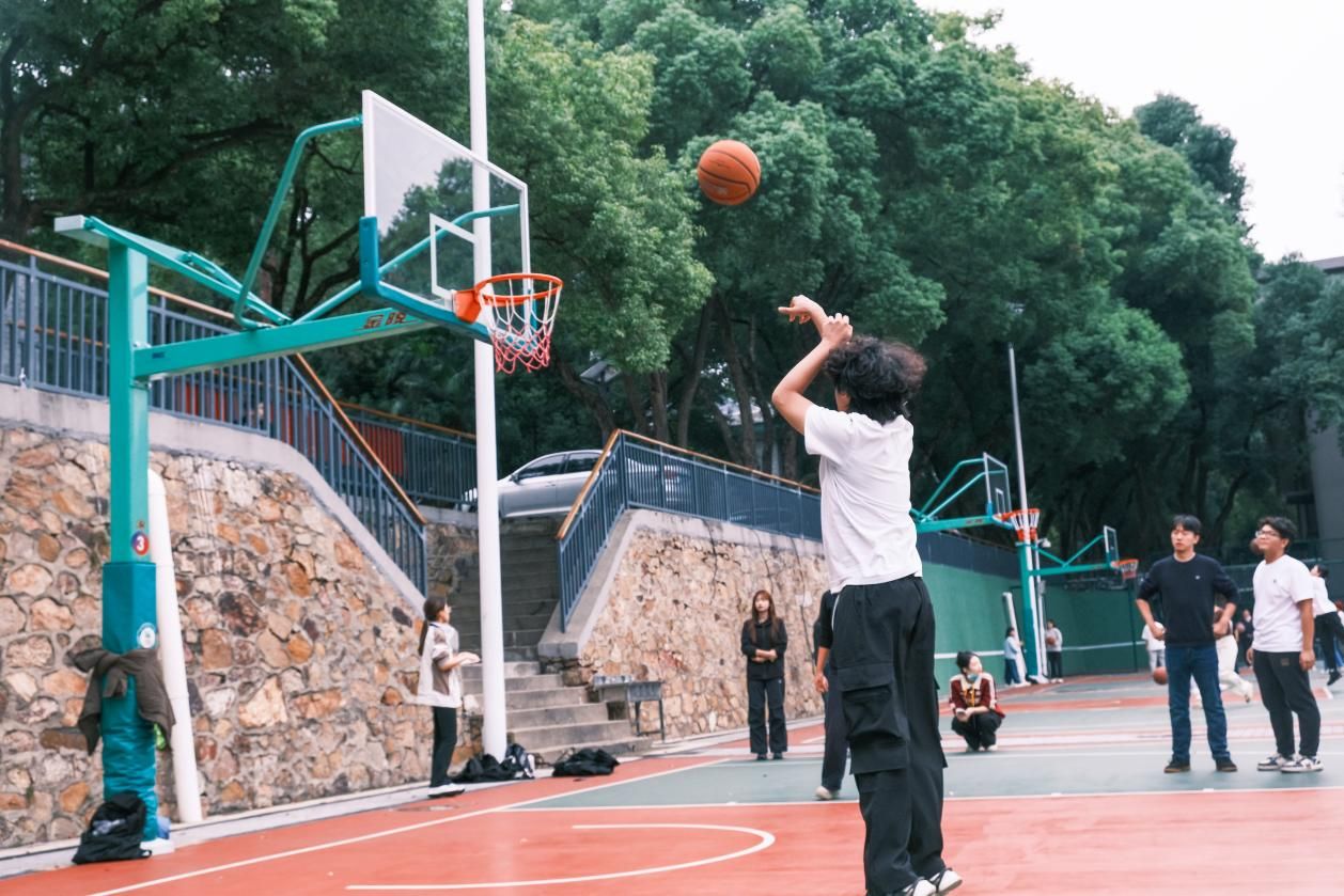 问鼎娱乐