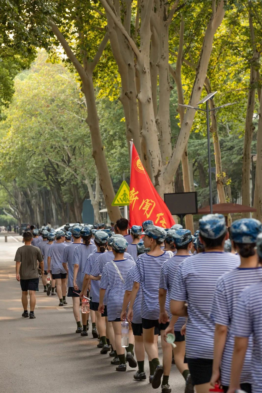 问鼎娱乐