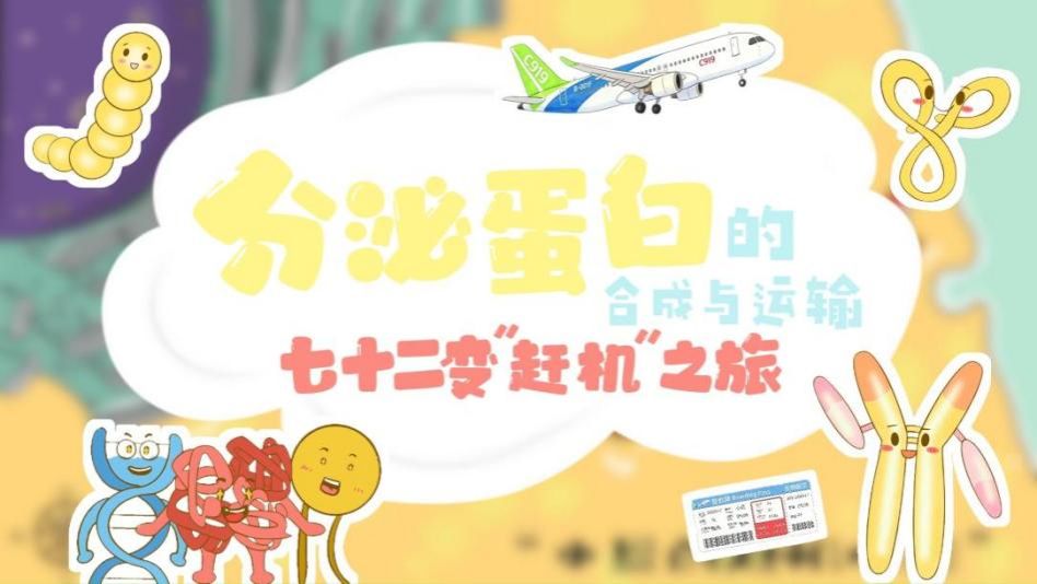 问鼎娱乐
