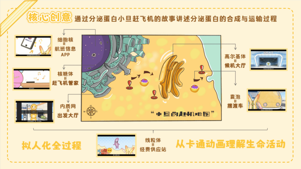 问鼎娱乐